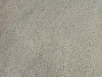 /album/galleria-foto/risetta-jpg1/